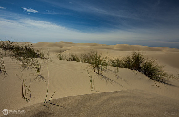 Mid Day Dunes