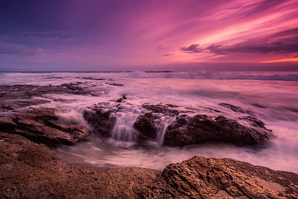 Shell Beach Rush