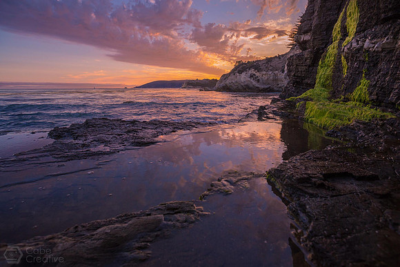 Shell Reflections