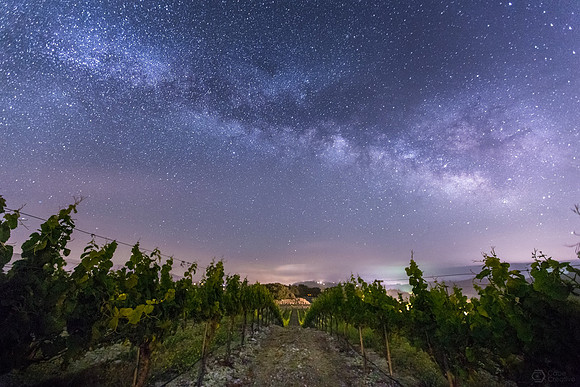 Intergalactic Vines