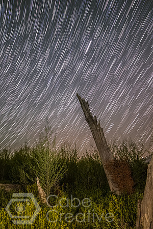 IMG_9945-Edit-Edit-3