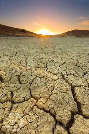 Carrizo Rays