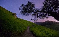 IMG_5442-Edit