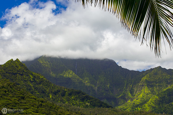 Hanalei Valley Overlook