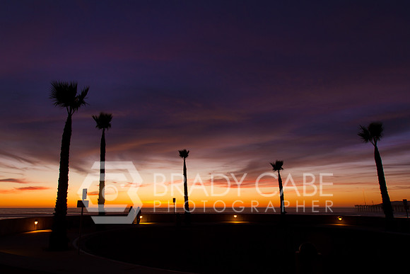 Palm Sunset