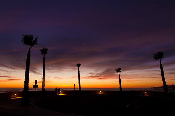 Palm Sunset