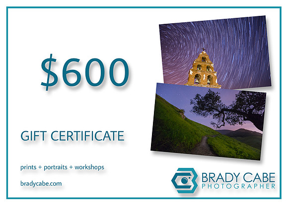 $600 Gift Certificate