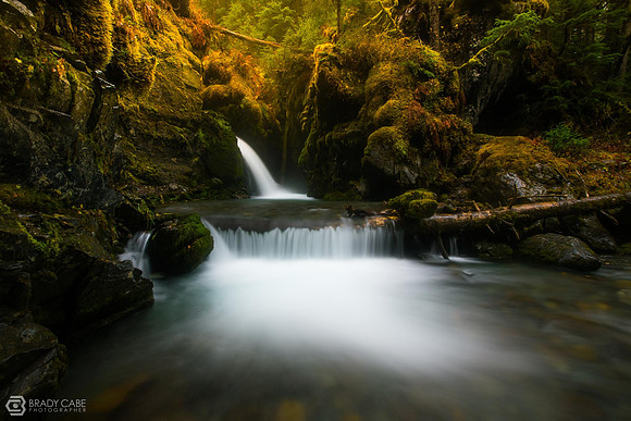 Virgin Creek Falls