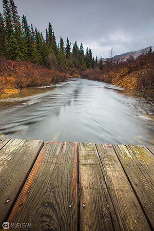 Roadside Creek