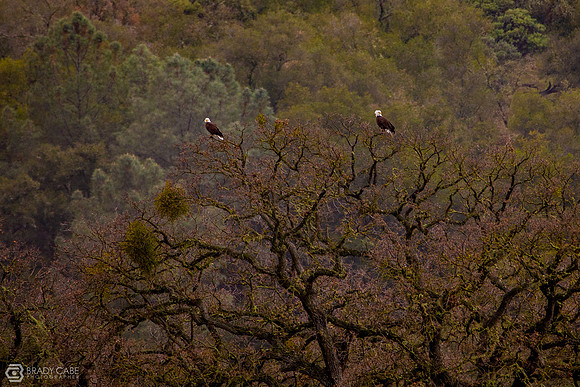 IMG_9055