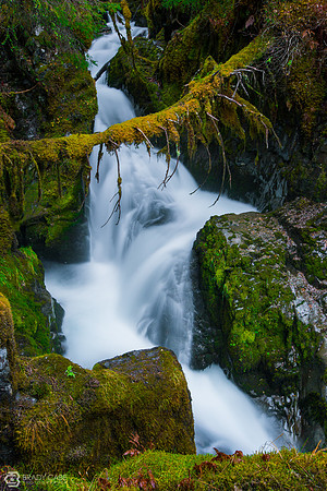 Upper Virgin Creek
