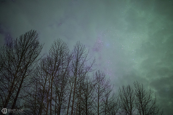 Backlit Colors