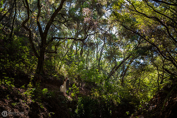 IMG_9582