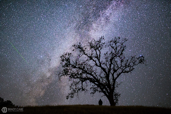 The Tree, The Meteor, The Milky Way, and Me