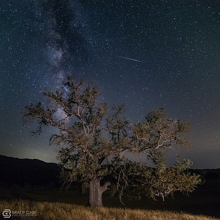 Delta Aquarid Fireball