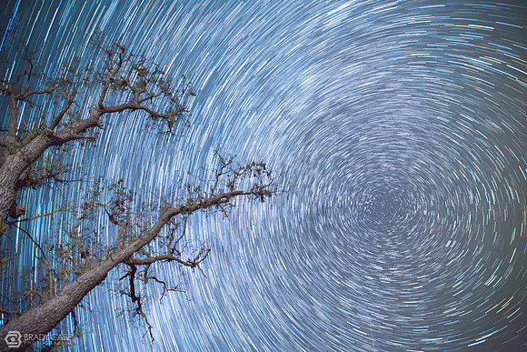 Looking Up - Perseids