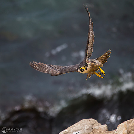IMG_2959-Edit-2