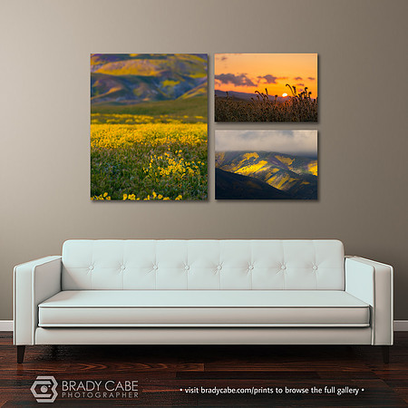 3 canvas-carrizo-superbloom