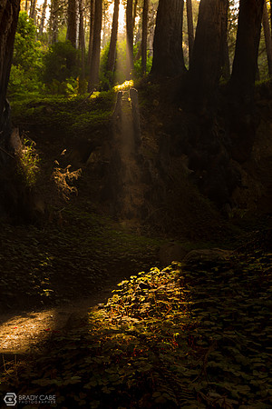 IMG_2148-Edit