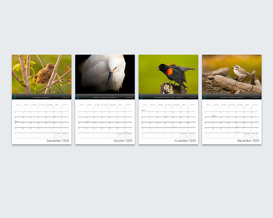 Screen Shot 2019-09-26 at 10.42.45 PM