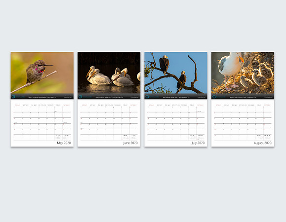 Screen Shot 2019-09-26 at 10.42.39 PM