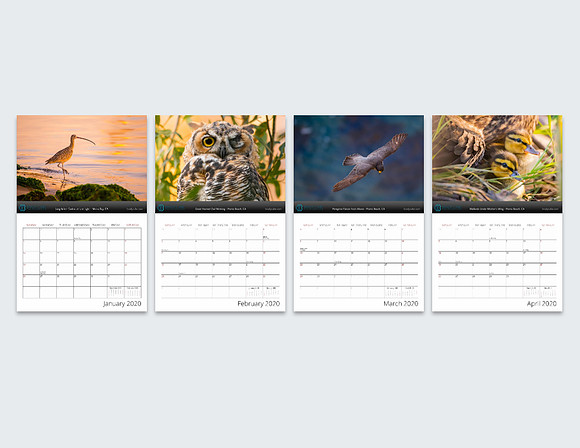 Screen Shot 2019-09-26 at 10.42.30 PM