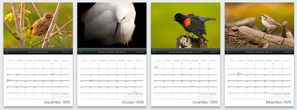 Screen Shot 2019-09-26 at 10.42.14 PM