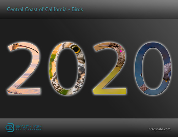 cover-birds-2020-calendar-birds