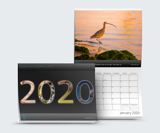 Screen Shot 2019-09-26 at 10.41.25 PM