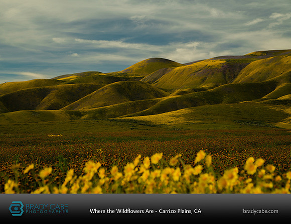 carrizo-landscapes-2020-calendar-pages