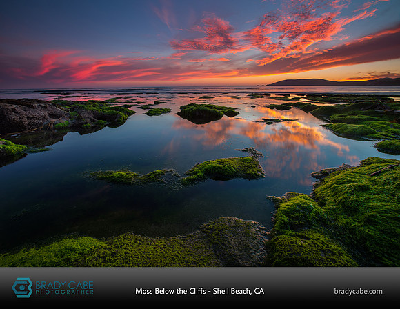 moss-landscapes-2020-calendar-pages