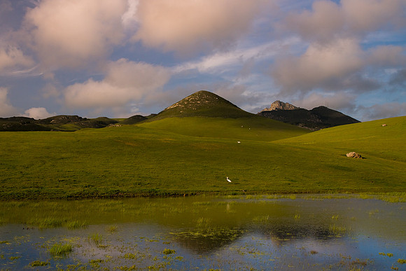 BC_09431