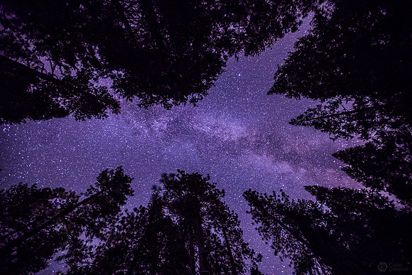 Yosemite_09