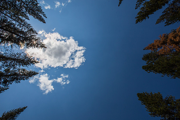 Yosemite_06