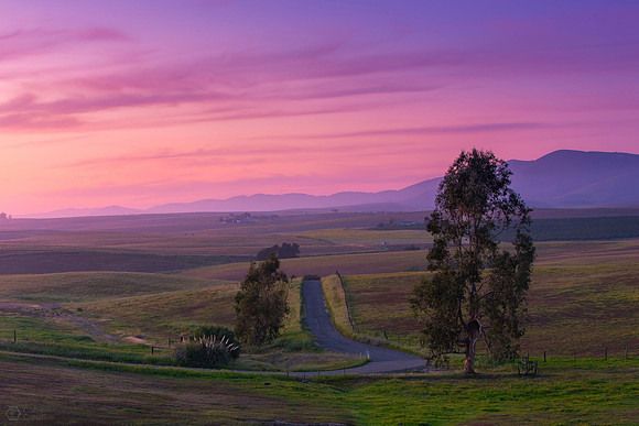 Road to the Coast