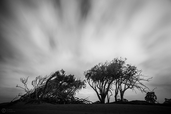 IMG_3940